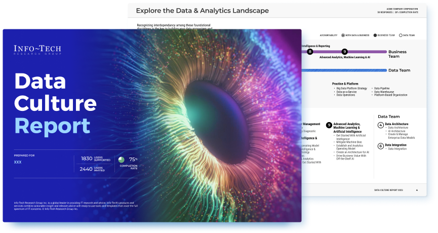 Diagnostic Program - Data Culture Report