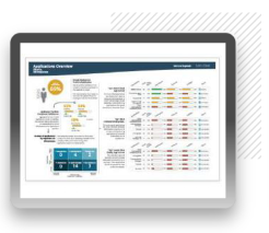 Report Summary