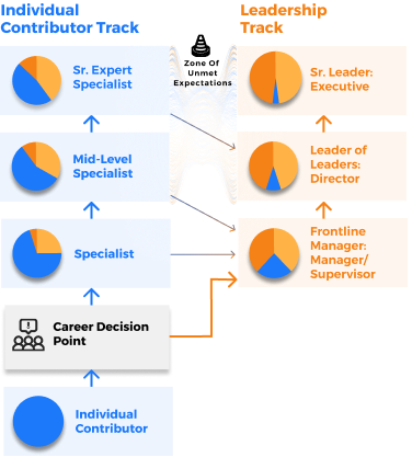 Individual Contributor and Leadership Track