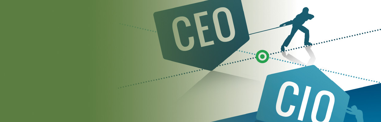 Diagnostic Program - CEO-CIO Alignment Program
