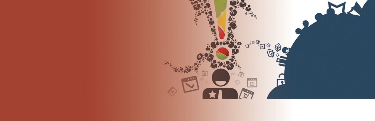 Diagnostic Program - Application Portfolio Assessment: End User Feedback