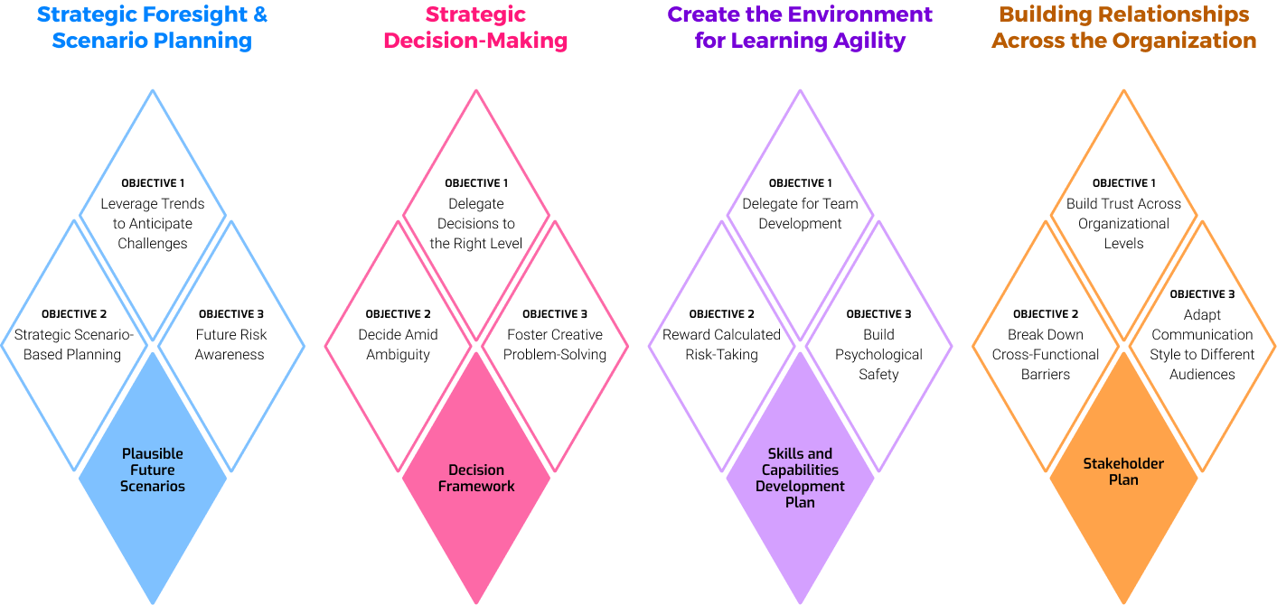Enterprise Leadership - Strategic Leadership - IT Team Leadership - Personal Leadership
