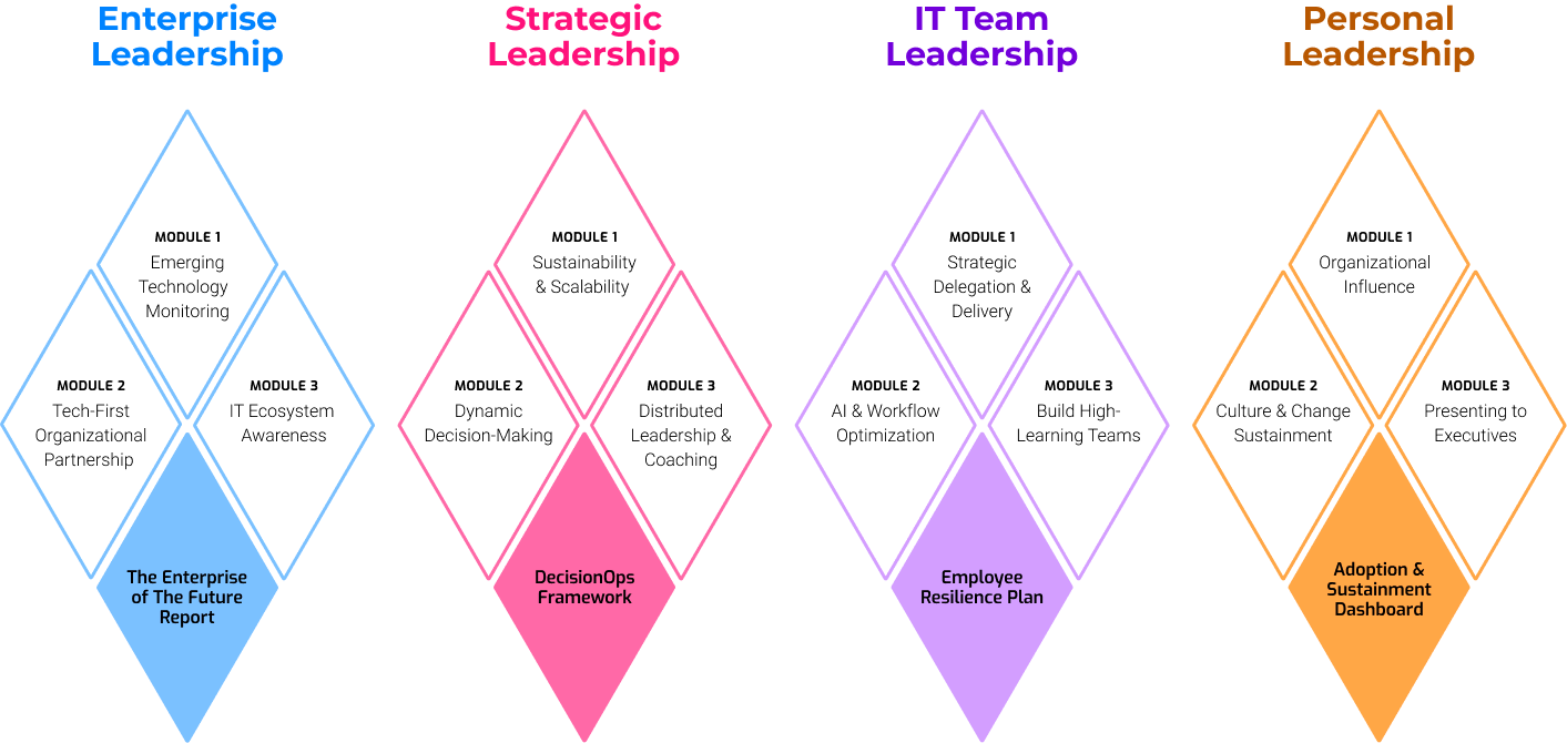 Enterprise Leadership - Strategic Leadership - IT Team Leadership - Personal Leadership
