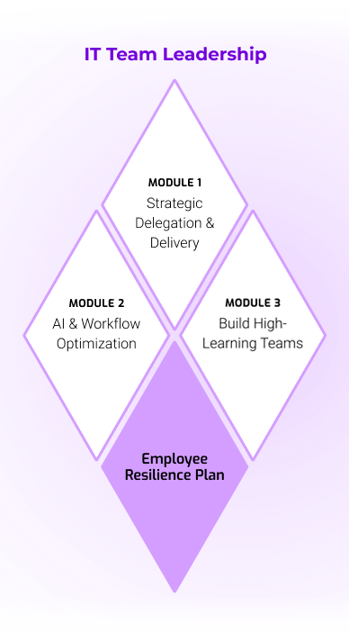 IT Team Leadership